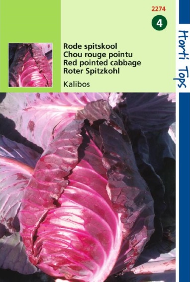 Pointed Red Cabbage Kalibos (Brassica) 250 seeds HT